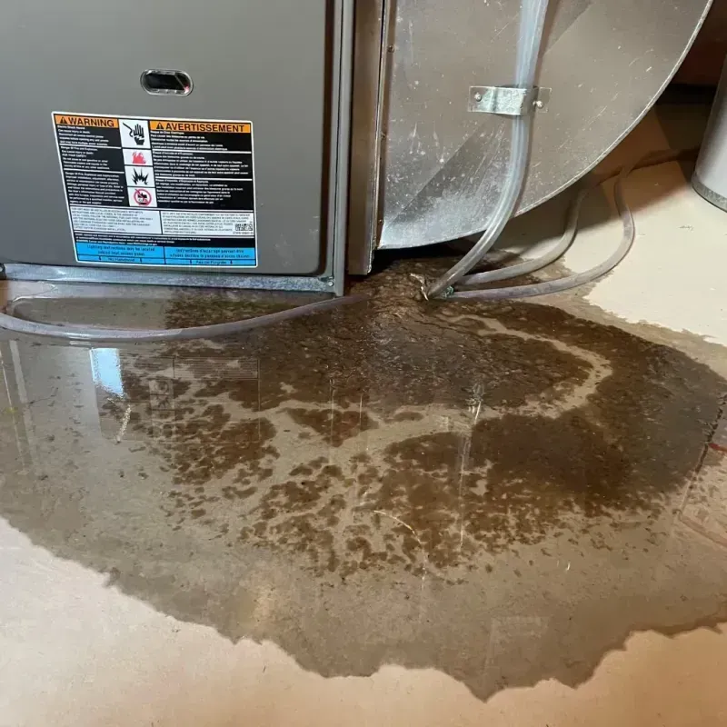 Appliance Leak Cleanup in Mahopac, NY